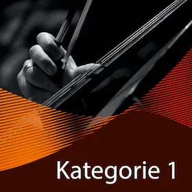 10-Concert Advantage Package - Category 1 - 10 Concerts — Heinrich-Lades-Halle, Erlangen