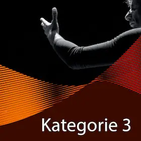 10-Concert Package - Category 3 — Heinrich-Lades-Halle, Erlangen