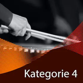 10-Concert Package - Category 4 — Heinrich-Lades-Halle, Erlangen