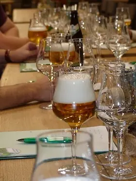 Distelhäuser Bierakademie - Bierbachelor - Course 1 — Distelhäuser Brauerei, Tauberbischofsheim