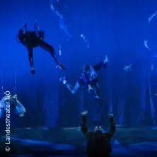 Twelfth Night - Landestheater Niederösterreich — Landestheater Niederösterreich, Sankt Pölten