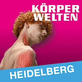 KÖRPERWELTEN | Heidelberg | Denní vstupenka — Altes Hallenbad Heidelberg, Heidelberg