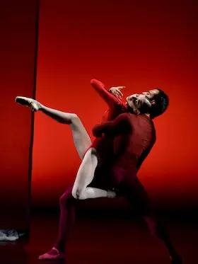 Ballet Evening Hamburger Kammerballett — Gymnasium Alfeld, Alfeld