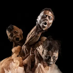 La Langue des Cygnes / Język Łabędzi — Schaubude Berlin, Berlin