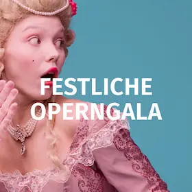 Slavnostní operní gala - velký orchestr, mezinárodní sólisté — Park des Klosters Himmelspforten Würzburg, Würzburg