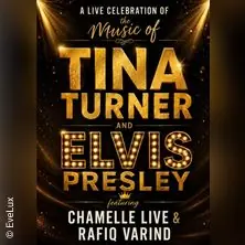 Tina Turner & Elvis Presley Show — Nordberg, Vienna