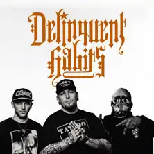 Delinquent Habits