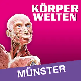 KÖRPERWELTEN | Münster | Timed Entry Ticket — Messe und Congress Centrum Halle Münsterland, Münster