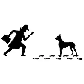 Baskerville - Sherlock-Holmesovský krimi od Kena Ludwiga