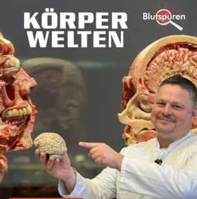 Anatomické dobrodružství - příběh o životě — Altes Hallenbad Heidelberg, Heidelberg