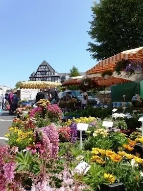 Erlebnis Wochenmarkt - Schlemmer-Wochenmarktführung — Stadtkirchenturm, Gießen