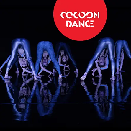 Vis Motrix - CocoonDance Company — Theater im Ballsaal, Bonn