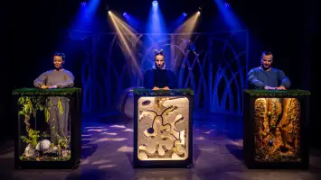 V trávě. Senzorické laboratorium — Teatr Groteska, Krakov