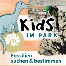 Kids im Park: Fossilien suchen & bestimmen