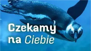 Návštěva ZOO Vratislavi