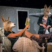 Die Känguru-Chroniken - Volkstheater Rostock — Großes Haus, Volkstheater Rostock, Rostock