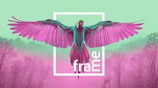 Frame w/ Randali, Alexej, AKVA, Mr. Maggio, Paradyme, Return Fall u.v.m
