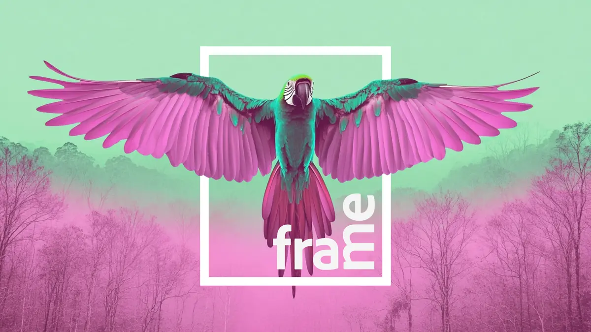 Frame w/ Randali, Alexej, AKVA, Mr. Maggio, Paradyme, Return Fall u.v.m — Phoxxi Green Area, Гамбург