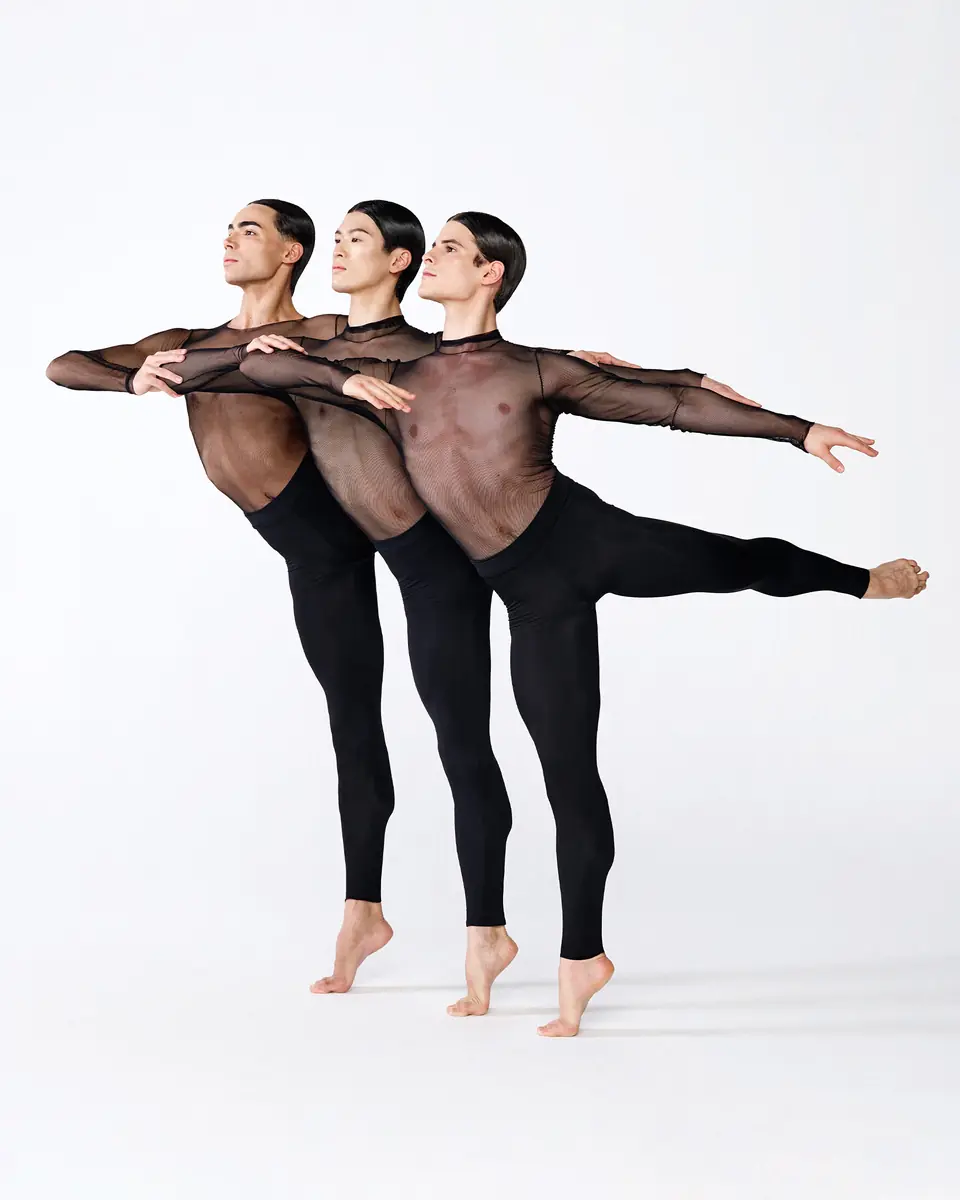 Impulse — Wiener Staatsoper, Vienna