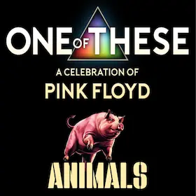 One Of These - A Celebration of Pink Floyd - Animals-Tour — kulturWERKwissen, Wissen