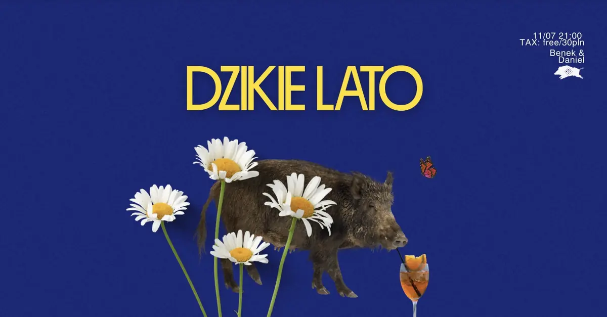 DZIKIE LATO | Vinylstealer & JON-X — DZiK, Warszawa
