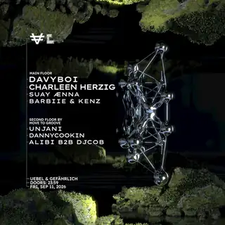 VER pres. davyboi, Charleen Herzig, SUAY ÆNNA, MOVE TO GROOVE COLLECTIVE uvm