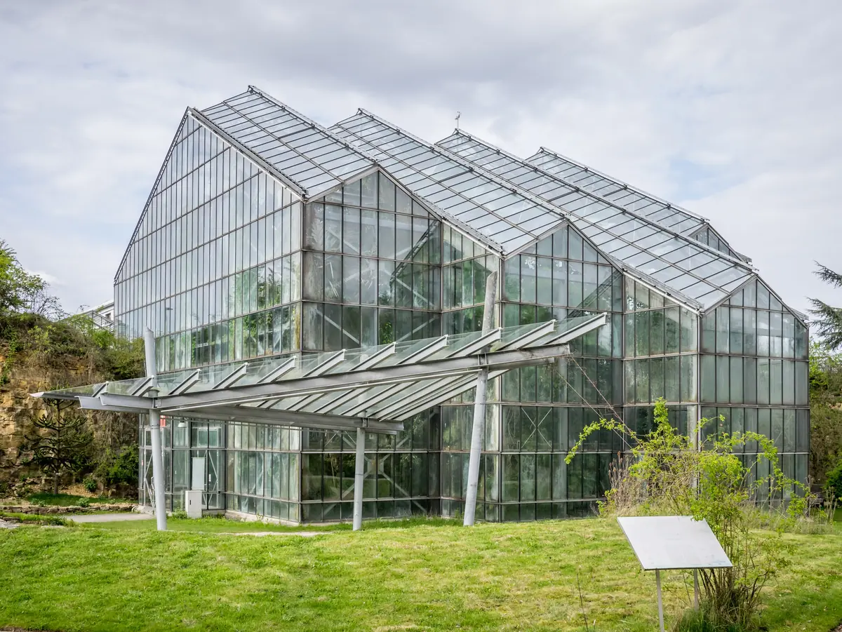 Osnabrück Experience Weeks 60+ — Botanischer Garten, Osnabrück
