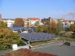 Schwarze Grütze - Das Besteste!
