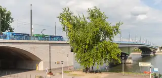 17. Velké bonnské seniorské zasedání