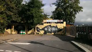 Kollektiv Krumm & Schief × PANAM