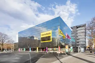 Fetysz inteligencji - Jak przeszacowana koncepcja kształtuje nasze życie