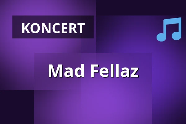 Mad Fellaz — REIGEN live, Vídeň