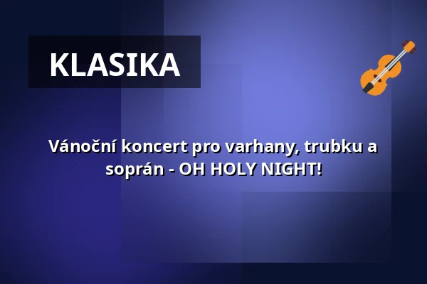 Vánoční koncert pro varhany, trubku a soprán - OH HOLY NIGHT! — St. Marienkirche, Berlín
