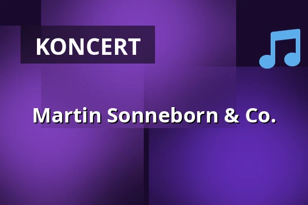 Martin Sonneborn & Co. — Altes Stadthaus Cottbus, Cottbus