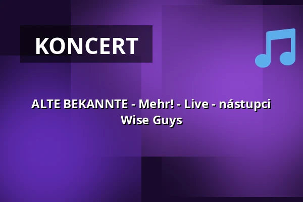 ALTE BEKANNTE - Mehr! - Live - nástupci Wise Guys — Kulturhalle Remchingen, Remchingen