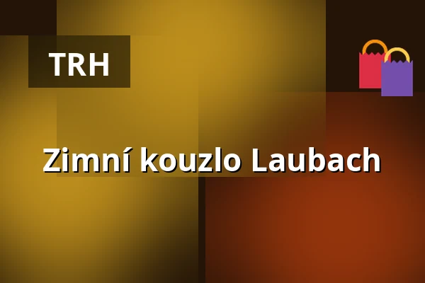 Zimní kouzlo Laubach — Schloss Laubach, Laubach