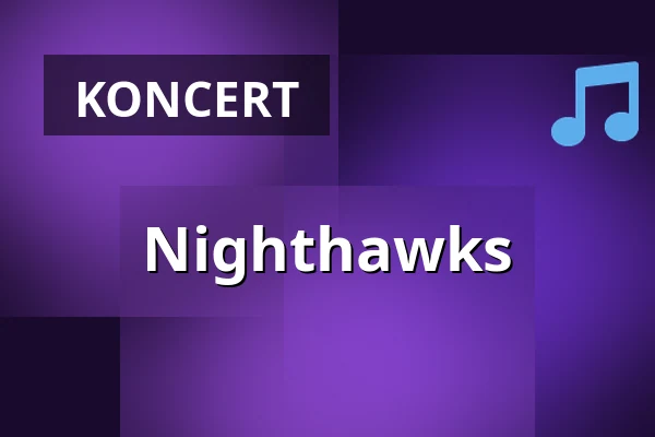 Nighthawks — Speicher Husum, Husum