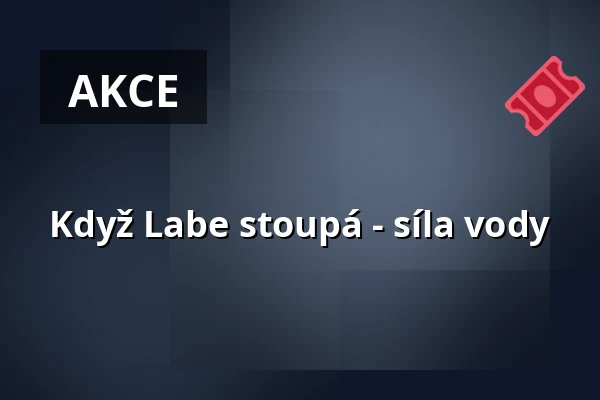 Když Labe stoupá - síla vody — Altonaer Fischauktionshalle, Hamburk