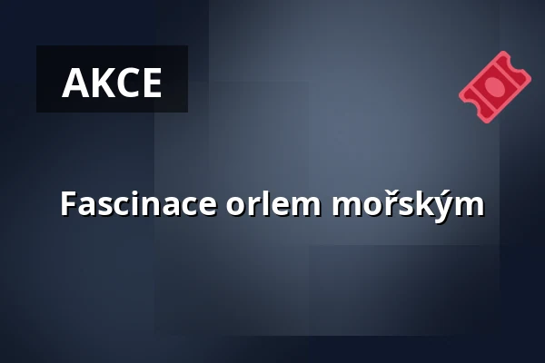 Fascinace orlem mořským — Max Hünten Haus, Zingst