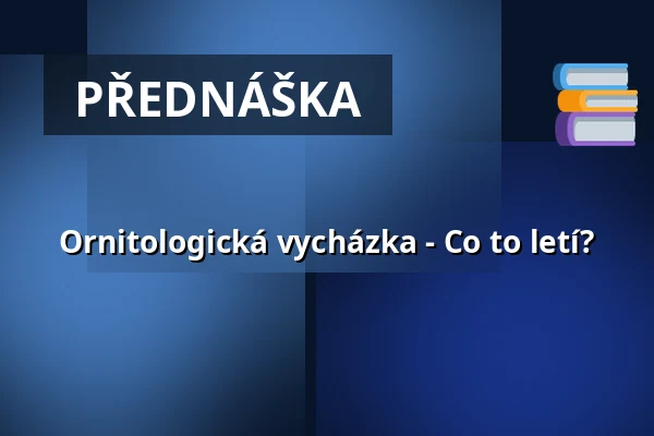 Ornitologická vycházka - Co to letí? — Max Hünten Haus, Zingst