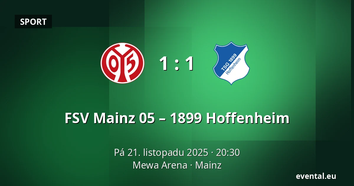 FSV Mainz 05 – 1899 Hoffenheim — Mewa Arena, Mainz