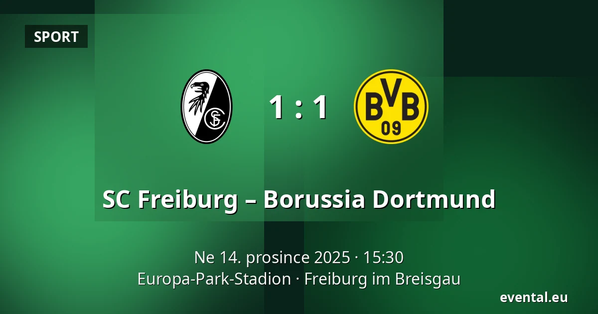 SC Freiburg – Borussia Dortmund — Europa-Park-Stadion, Freiburg im Breisgau