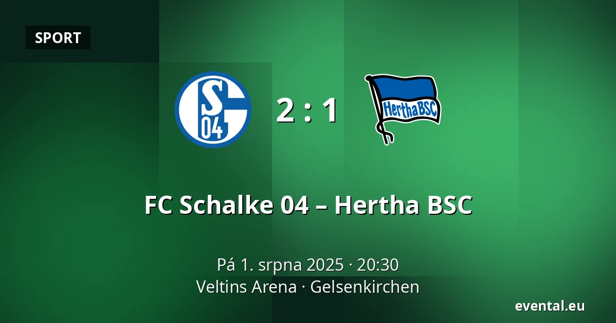 FC Schalke 04 – Hertha BSC — Veltins Arena, Gelsenkirchen