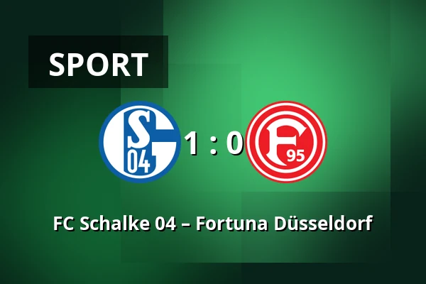 FC Schalke 04 – Fortuna Düsseldorf — Veltins Arena, Gelsenkirchen