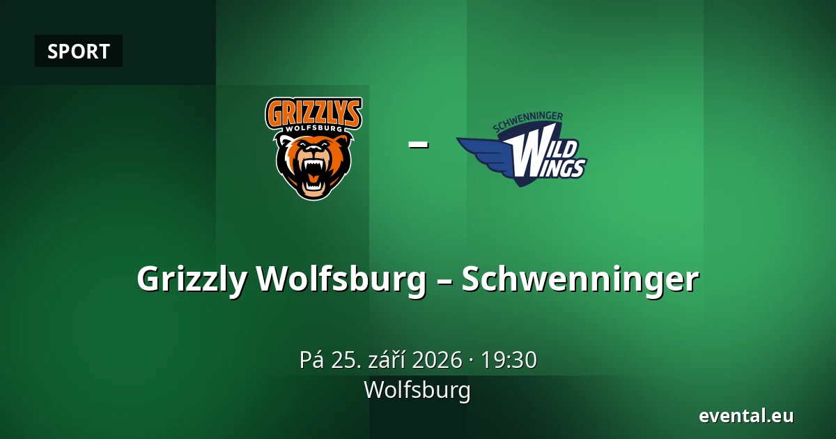 Grizzly Wolfsburg – Schwenninger — Wolfsburg