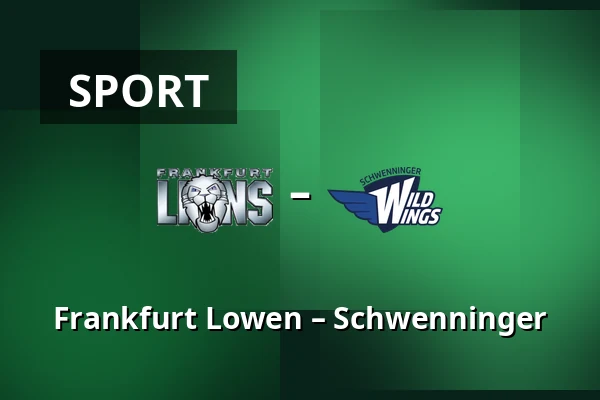 Frankfurt Lowen – Schwenninger — Frankfurt nad Mohanem