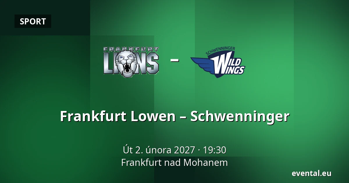 Frankfurt Lowen – Schwenninger — Frankfurt nad Mohanem