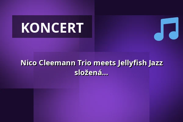 Nico Cleemann Trio meets Jellyfish Jazz Orchestra - Big Band založená v roce 2008, složená z přibližně 20 hudebníků z Meklenburska-Předpomorí — Soziokulturelles Zentrum Speicher, Schwerin