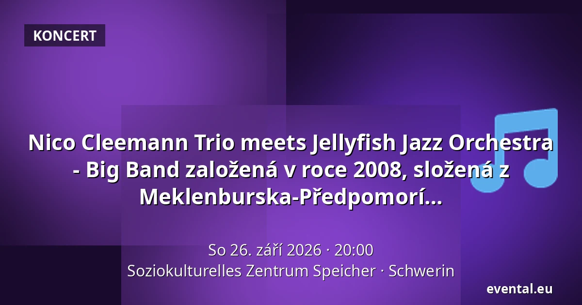 Nico Cleemann Trio meets Jellyfish Jazz Orchestra - Big Band založená v roce 2008, složená z přibližně 20 hudebníků z Meklenburska-Předpomorí — Soziokulturelles Zentrum Speicher, Schwerin