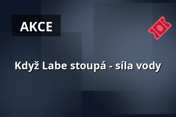Když Labe stoupá - síla vody — Altonaer Fischauktionshalle, Hamburk